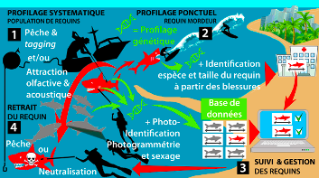 Image retirée.
