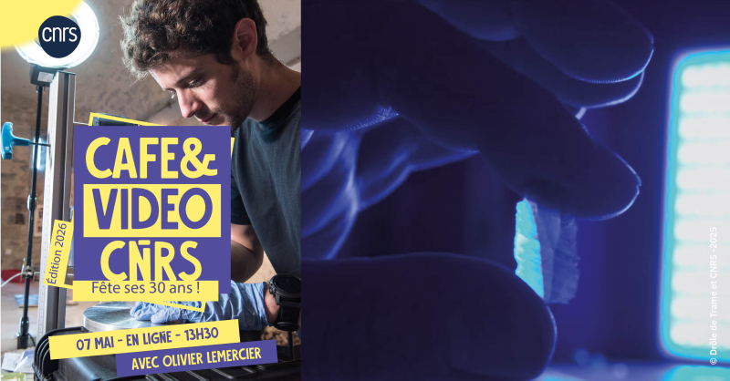 Illustration du café & vidéo du CNRS de mai