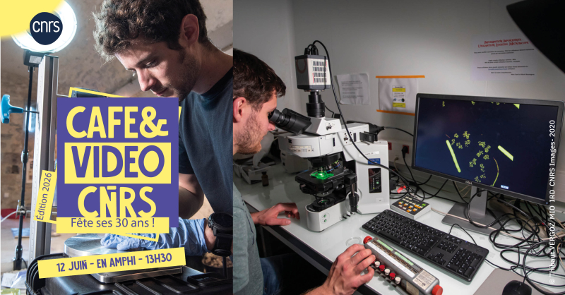 Illustration de la séance de juin 2026 du Café & Vidéo du CNRS