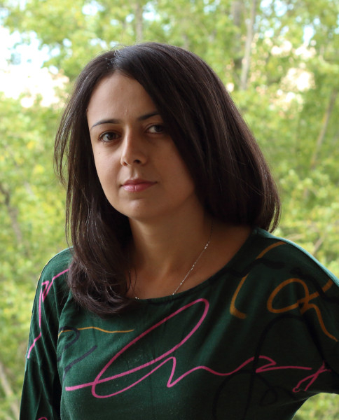 Sepideh Mirrahimi