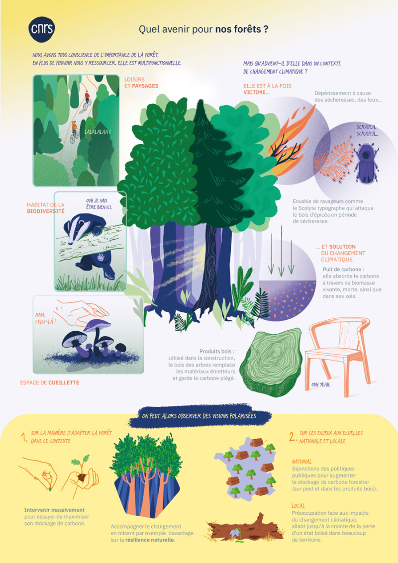 planche illustrée racontant le projet de recherche