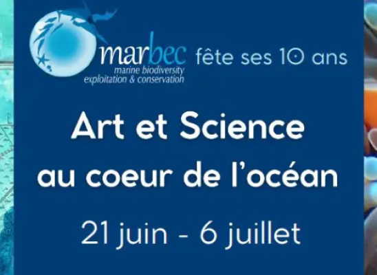 bandeau 10 ans MARBEC
