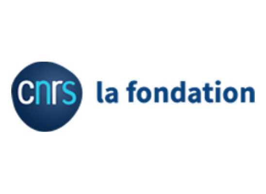 Logo CNRS la fondation