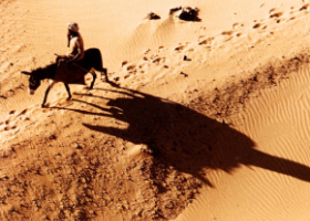 homme sur un âne au Soudan