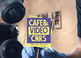 Cafe & video 2026