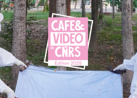 bandeau Café & vidédo du CNRS