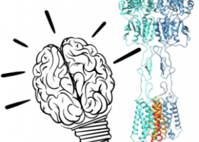 Illustration montrant un cerveau et l'acide aminé glutamate