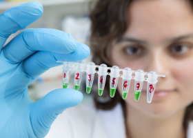 Amplification de l'ADN à l'aide de la PCR (réaction de polymérisation en chaîne) pour produire des séquences génétiques mutées