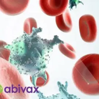 globules et molécules