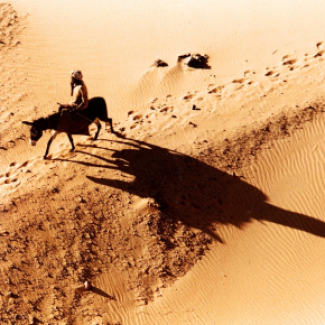 Homme sur un âne au Soudan
