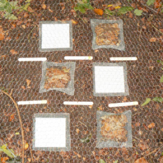 Sachets de litières naturelles à côté du matériel standard (du papier et des bâtonnets de bois) dans une placette expérimentale d’une forêt allemande 