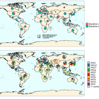 carte montrant proportion bactéries résistantes aux antibiotiques