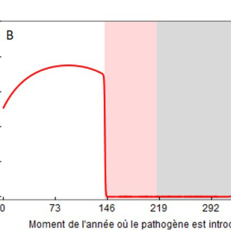 Graphique illustrant probabilité d'émergence de pathogènes