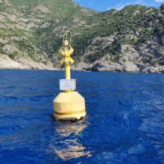 Bouée délimitant la zone de protection intégrale de l'aire marine protégée de Porto Fino.