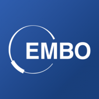 logo EMBO