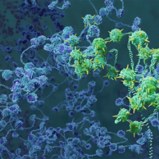 Représentation artistique du repliement tridimensionnel d'une portion de la chromatine dans le noyau cellulaire.