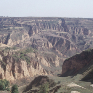 Dépots loessiques à Luochuan couvrant les derniers 3.6 Ma, Plateau du Loess, Chine centrale. Crédit : DDR