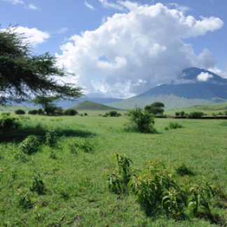 Paysage du grand rift Africain