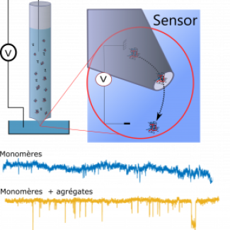 schéma illustrant le système de nanopore détectant les agrégats de protéines