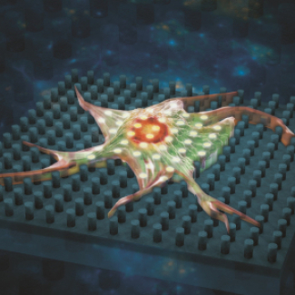 Vue d’artiste d’une cellule sur le nouveau substrat. Cette illustration a fait la couverture de la revue Small Science où sont publiés ces travaux.