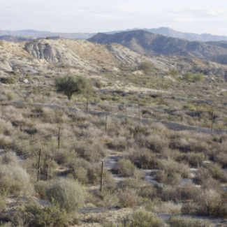 paysage semi-aride