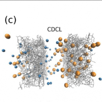 schéma montrant l'adsorption ionique dans des électrodes polarisées