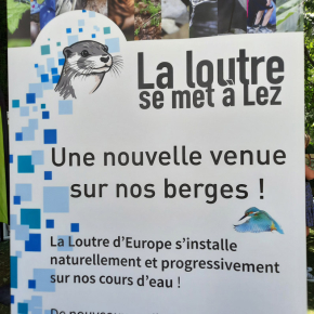 Poster "La loutre se met à Lez"