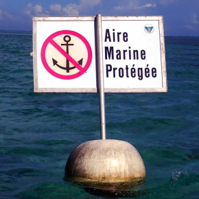 Montage d'une bouée maritime indiquant une aire marine protégée