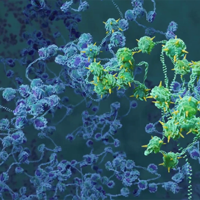 Représentation artistique du repliement tridimensionnel d'une portion de la chromatine dans le noyau cellulaire.