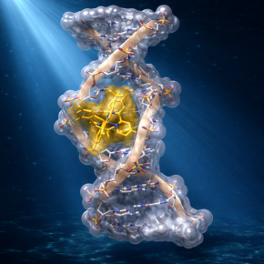 Vue d'artiste d'une hélice d'ADN enfermant un catalyseur metallique