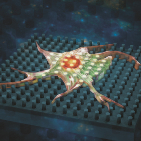 Vue d’artiste d’une cellule sur le nouveau substrat. Cette illustration a fait la couverture de la revue Small Science où sont publiés ces travaux.