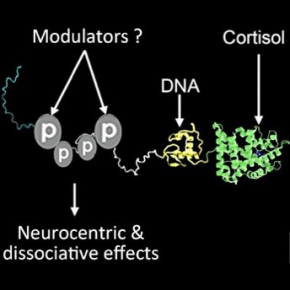 Schéma illustrant la production de cortisol