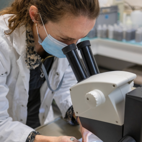 Femme scientifique regardant dans une loupe binoculaire