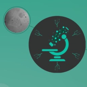 immage illustrant un microscope avec des effet de fluorescence