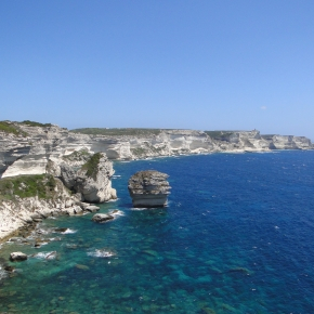 Photo prise dans le cadre d’une étude en Corse, une île française très protégée où de nombreux travaux de recherches sont menés.